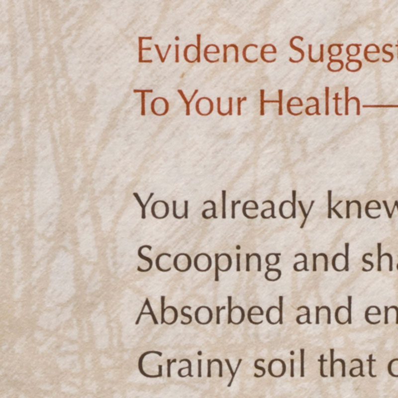 Evidence Suggests That Dirt Is Beneficial To Your Health