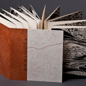 A slightly unfolded accordion book showing the arrangement of pages