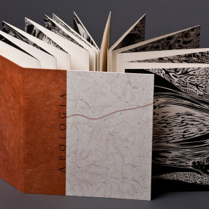 A slightly unfolded accordion book showing the arrangement of pages