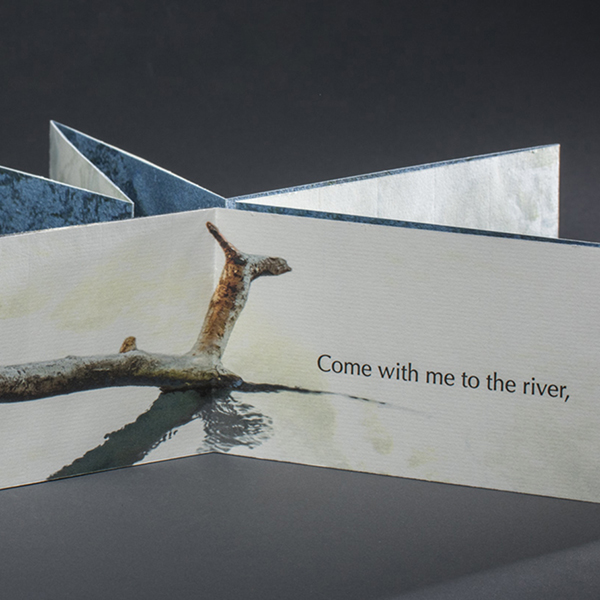 The unfolded book showing some text and a branch and its reflection in the water