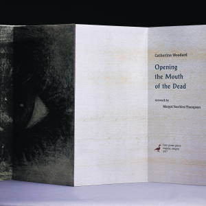 The foldable first few pages of the book