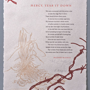 Text and an image of barbed wire and marsh-like plants