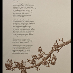 The text with an image of a branch with seed pods
