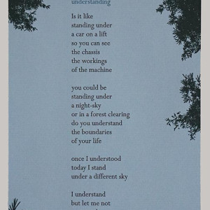 Text and surrounding images of conifer branches and needles