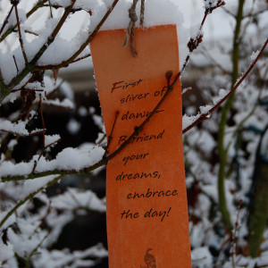 dark text on a rich red-brown paper hanging among small snow-covered branches