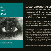 The book cover with text promoting the book