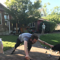Nik reaches out with treats to the dogs