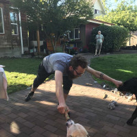 Nik reaches out with treats to the dogs