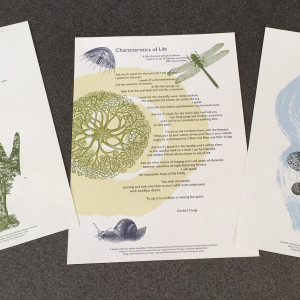 Three of the students' broadsides